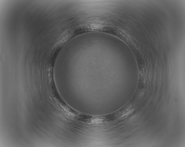 X0000059780462200510211055