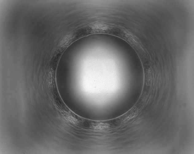 X0000059780463200510211055