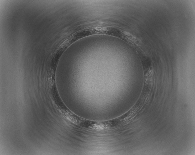 X0000059780464200510211055