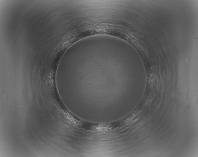 X0000059780466200510211055