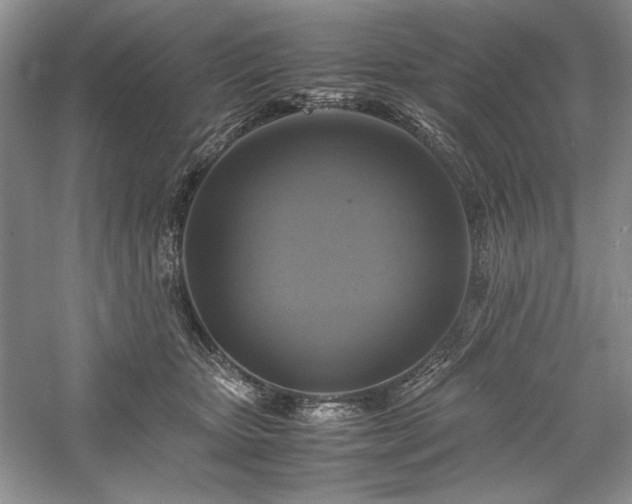 X0000059780467200510211055