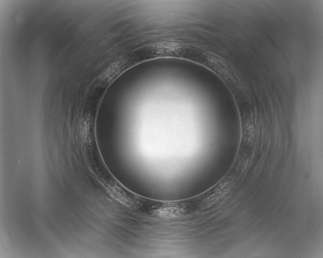 X0000059780468200510211055