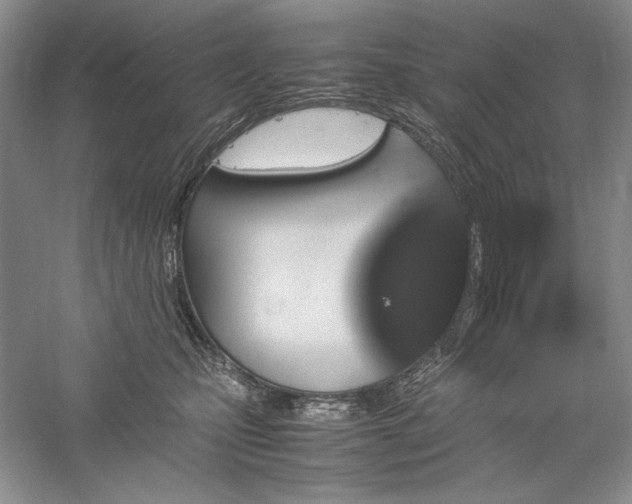 X0000059780471200510211055