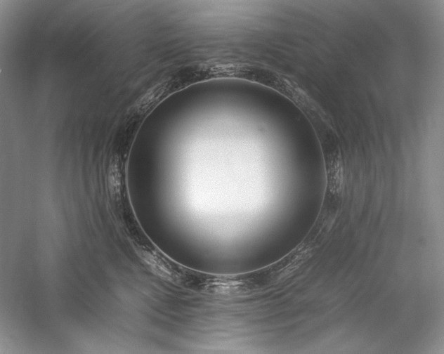 X0000059780472200510211055