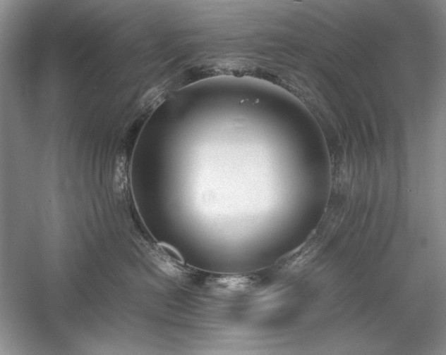 X0000059780478200510211056