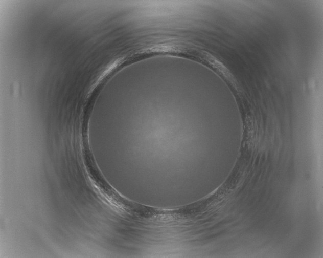 X0000059780482200510211055