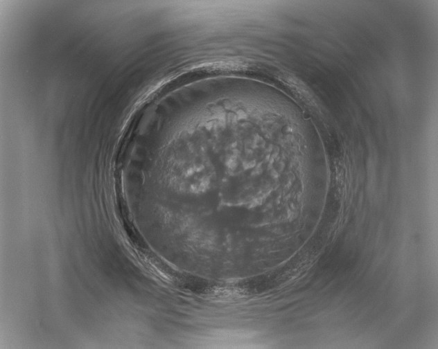 X0000059780487200510211055