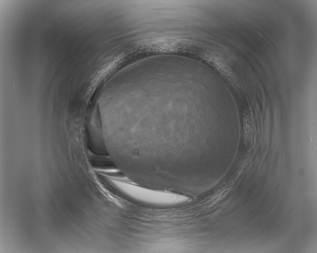 X0000059780493200510211055