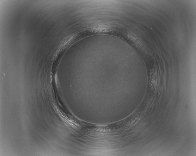X0000059780494200510211055
