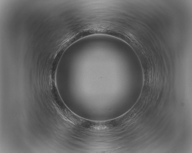 X0000059780500200510211054