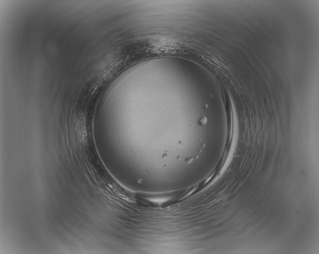 X0000059780508200510211054