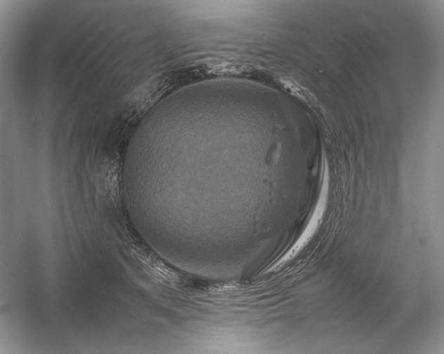 X0000059780513200510211054