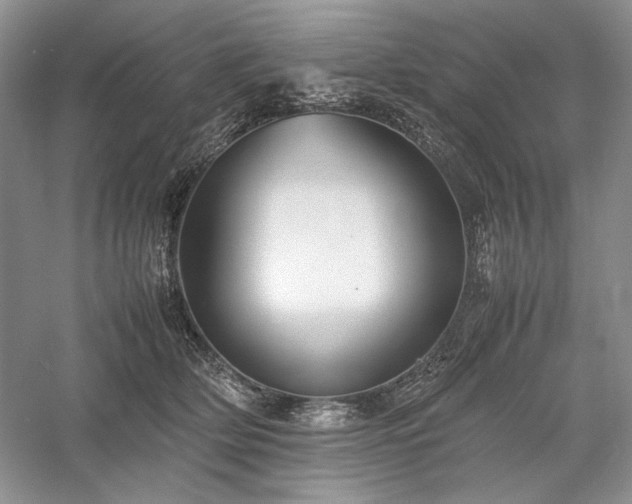 X0000059780514200510211054