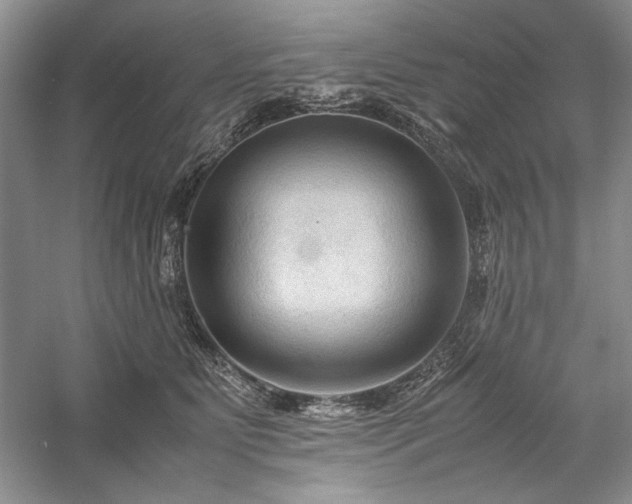 X0000059780515200510211054