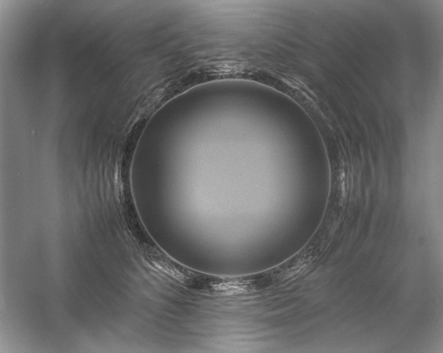 X0000059780516200510211054