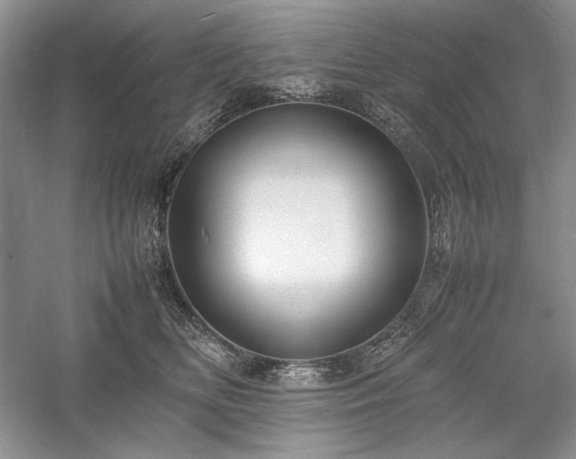 X0000059780518200510211054