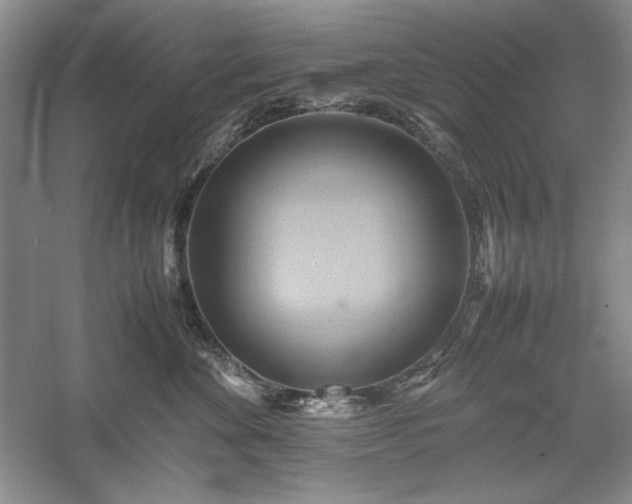 X0000059780524200510211054