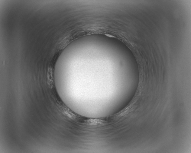 X0000059780528200510211054