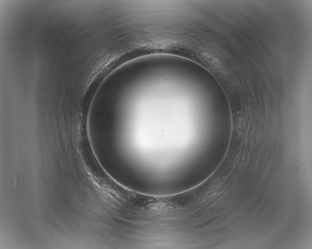 X0000059780544200510211053