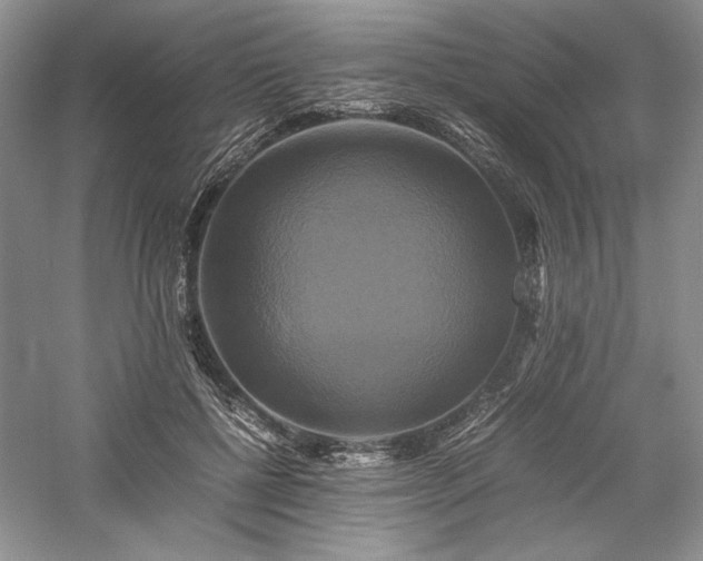 X0000059780552200510211054