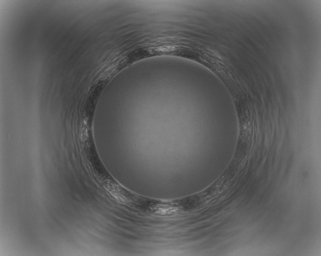 X0000059780555200510211054