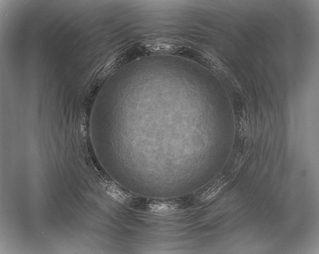X0000059780561200510211054
