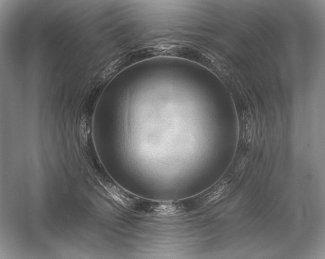 X0000059780562200510211054