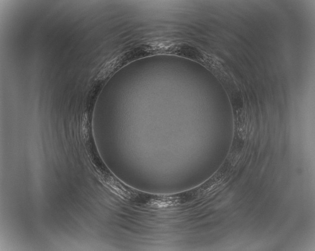 X0000059780563200510211054