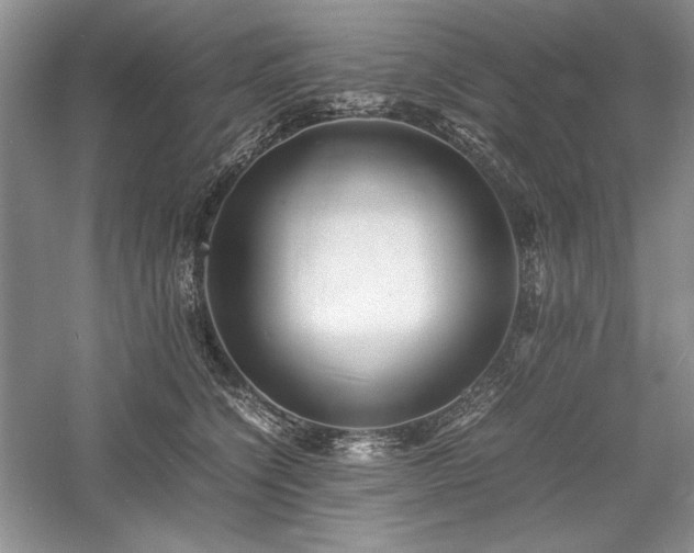 X0000059780564200510211054