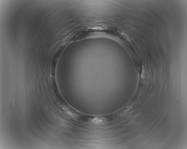 X0000059780566200510211054