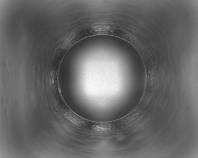 X0000059780567200510211054