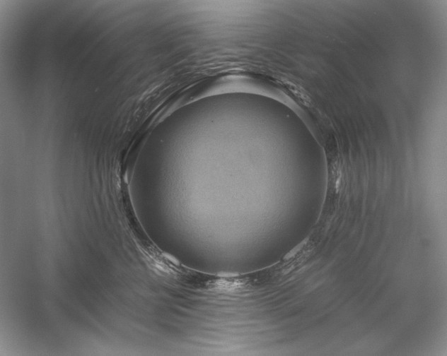 X0000059780570200510211054