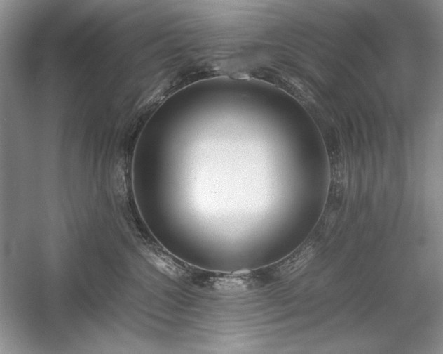 X0000059780572200510211054