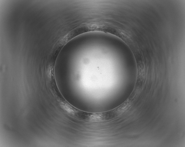 X0000059780574200510211054