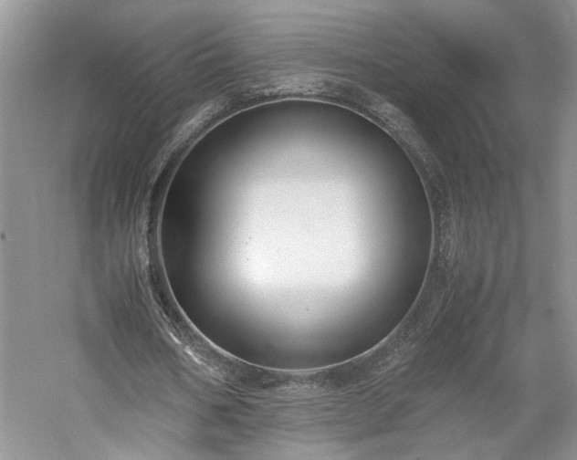 X0000059780578200510211053
