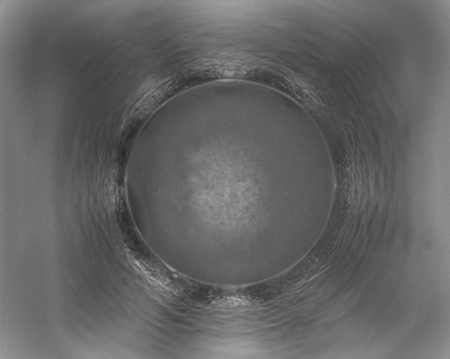 X0000059780594200510211053