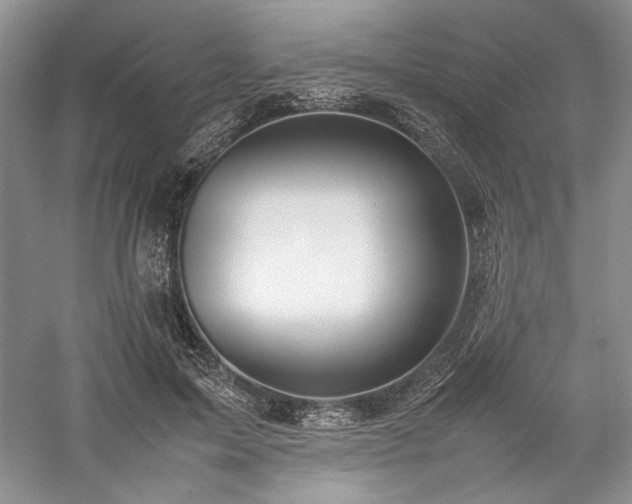 X0000059780599200510211053