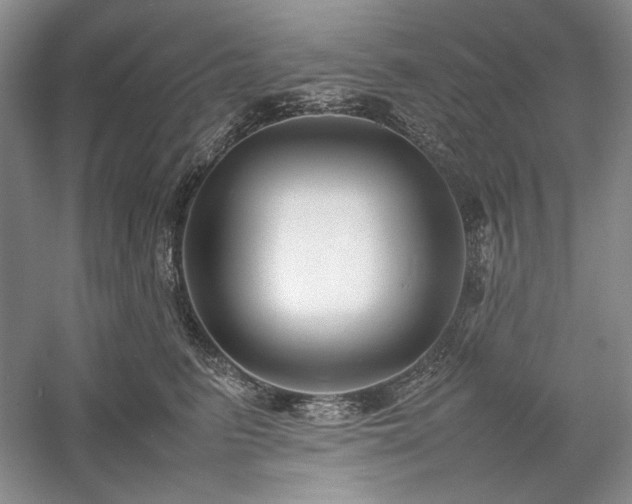 X0000059780615200510211052
