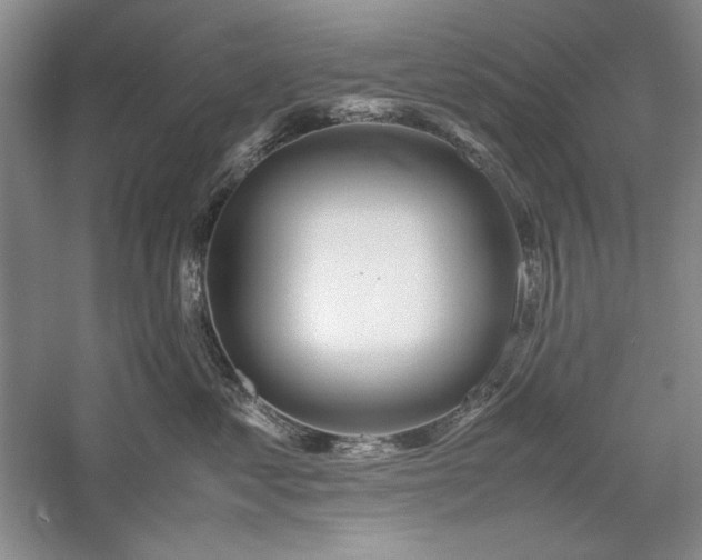 X0000059780621200510211052