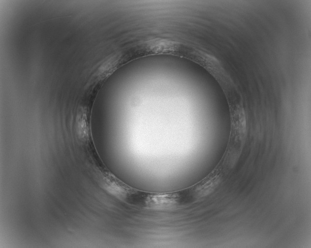 X0000059780622200510211052