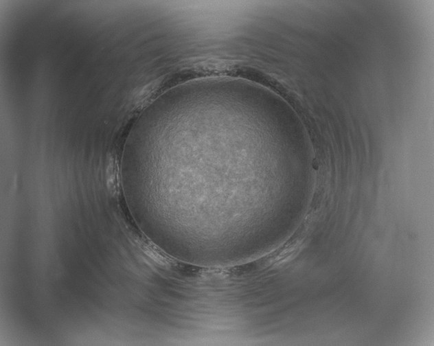 X0000059780624200510211052