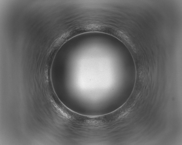 X0000059780633200510211052