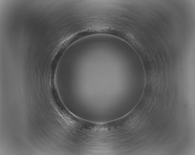 X0000059780640200510211052