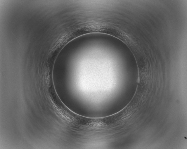 X0000059780642200510211052