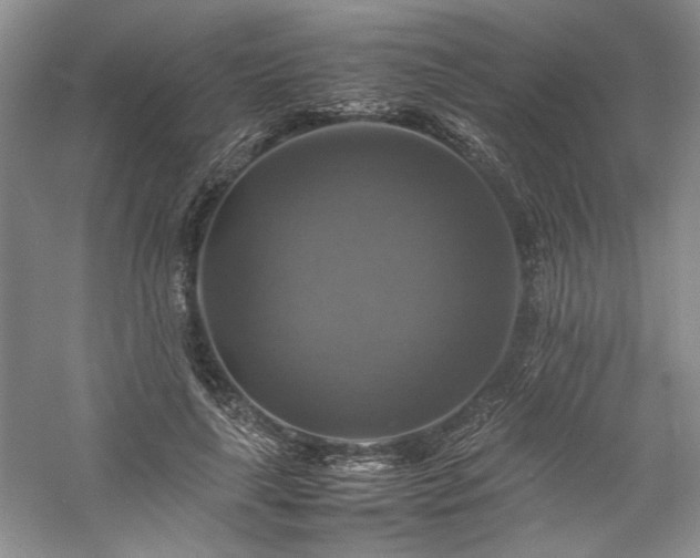 X0000059780643200510211052