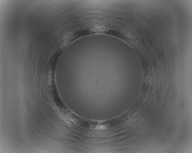X0000059780647200510211052