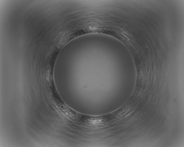 X0000059780651200510211052