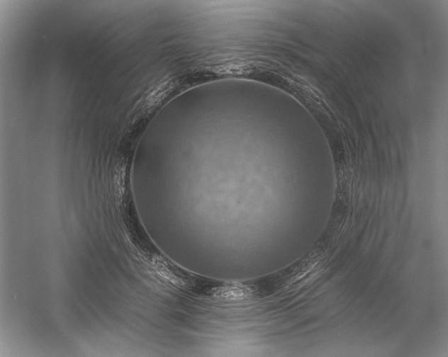 X0000059780652200510211052
