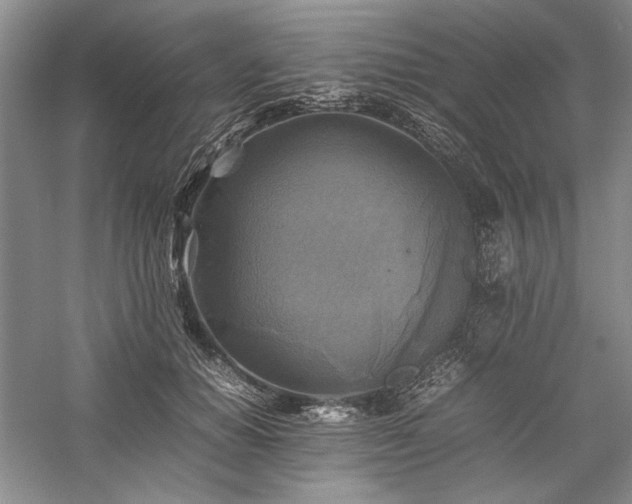 X0000059780654200510211052