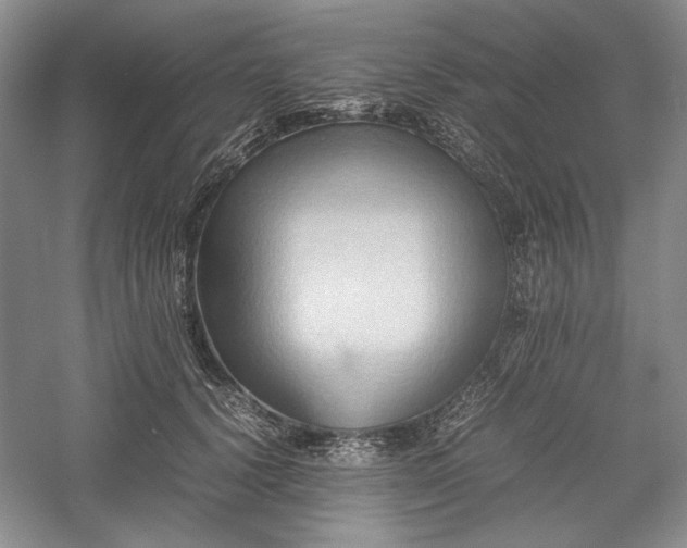 X0000059780656200510211052